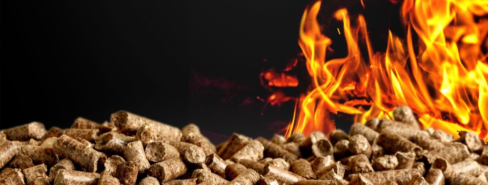 Diagnóstico de Averías y Sustitución de Piezas