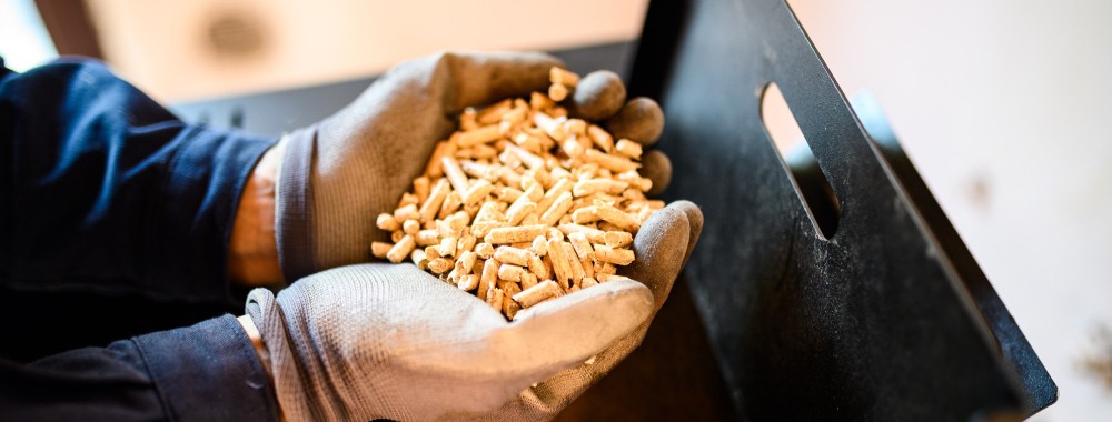 Puesta a Punto Pretemporada